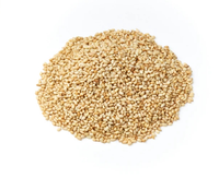 Roasted White Sesame 100g INAKA