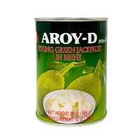 Young Green Jackfruit in Brine 565g AROY-D
