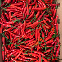 Red Chili Thai Paprika (fresh) 100g