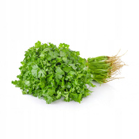 Fresh Coriander 100g