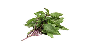 Fresh Thai Basil 100g