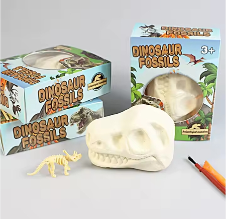 Wykopaliska Dinozaura 1 szt.