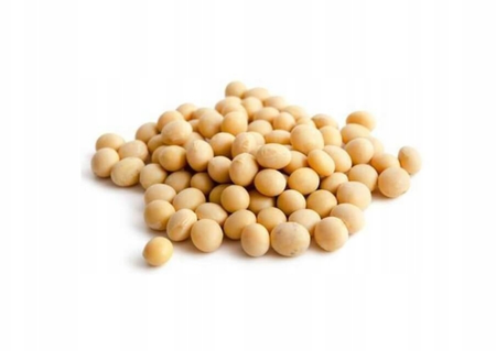 Raw Soybean  non GMO 500g