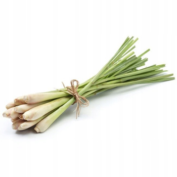 Fresh Lemon Grass 100g