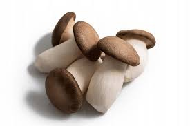 Świeże Boczniak królewski - King Oyster Mushroom 200g