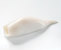 Kalmary Tuby U5 30% Glazury 1kg (netto 750g) KS