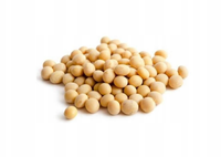 soja ziarna surowa luz 500g (bez GMO)
