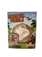 Wykopaliska Dinozaura 1 szt.